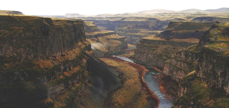 How to Convince Your CMO to Care About Deep Links